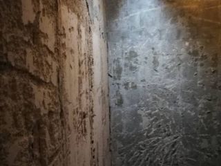 日常巡检