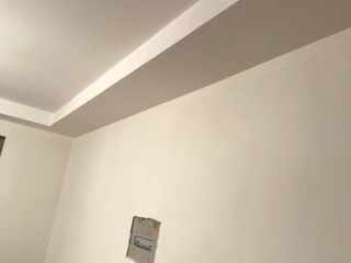 墙、顶面乳胶漆