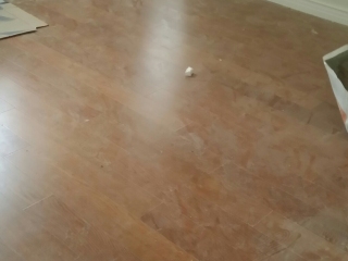 实木复合地板铺设