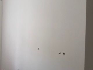 墙、顶面乳胶漆