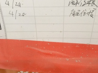 日常巡检