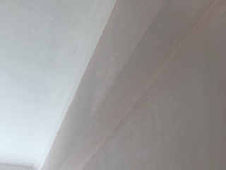 墙、顶面乳胶漆