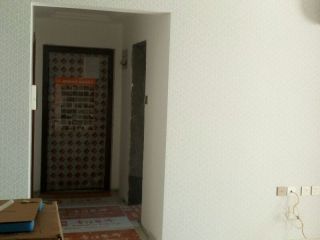 墙、顶面乳胶漆