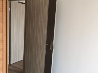 成品门及墙纸铺贴
