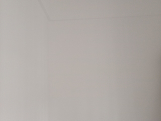 墙、顶面腻子批嵌