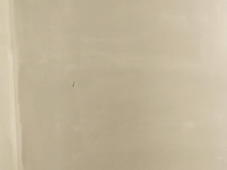 墙、顶面腻子批嵌