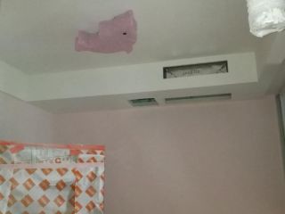 墙、顶面乳胶漆