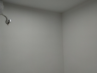 墙、顶面乳胶漆及墙纸铺贴