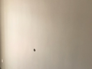 墙、顶面乳胶漆