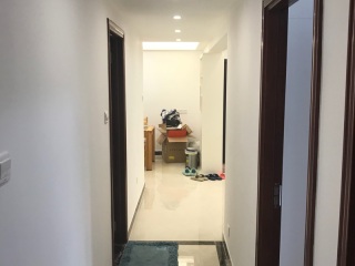 墙、顶面乳胶漆
