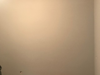 现场木制品造型施作