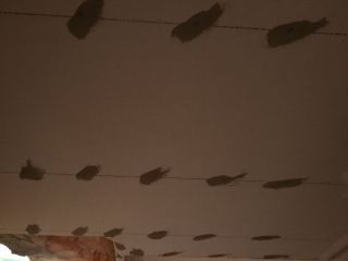 泥木工程 验收