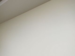 墙、顶面乳胶漆