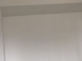 墙、顶面腻子批嵌