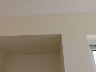 墙、顶面乳胶漆