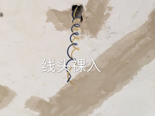 日常巡检