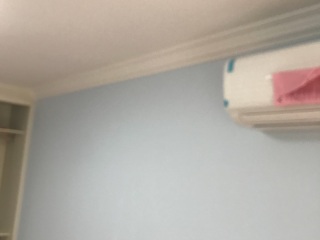 墙、顶面乳胶漆