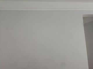 墙、顶面乳胶漆
