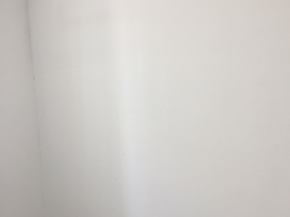 墙、顶面乳胶漆及墙纸铺贴