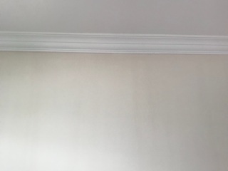 墙、顶面乳胶漆