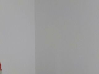 现场木制品造型施作