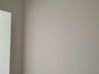 墙、顶面乳胶漆