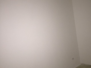 墙、顶面乳胶漆