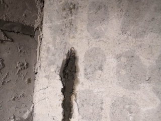 竣工验收