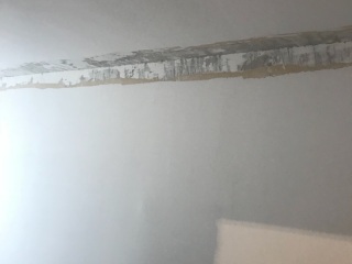 墙、顶面腻子批嵌