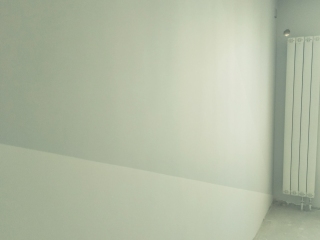 墙、顶面乳胶漆