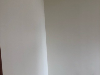 墙、顶面乳胶漆