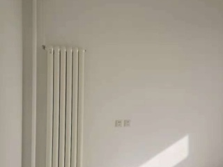 墙、顶面乳胶漆