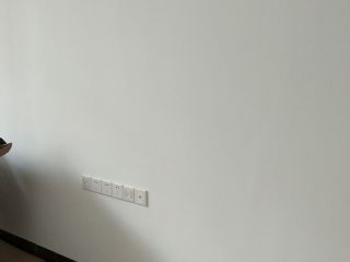 墙、顶面乳胶漆