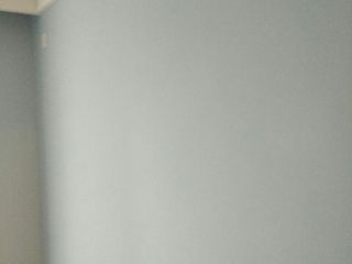 墙、顶面乳胶漆及墙纸铺贴