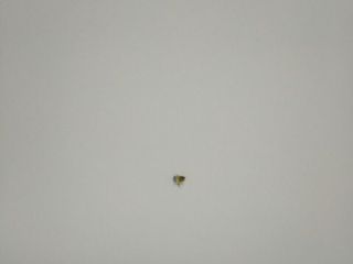 墙、顶面腻子批嵌