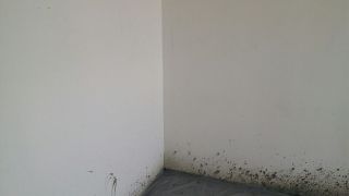 现场木制品造型施作