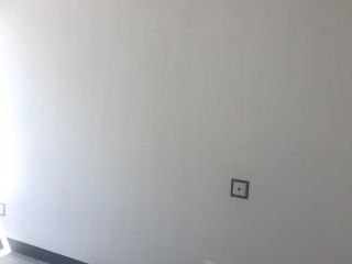 墙、顶面腻子批嵌