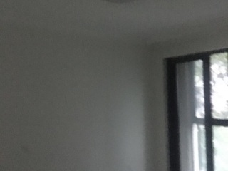 墙、顶面腻子批嵌