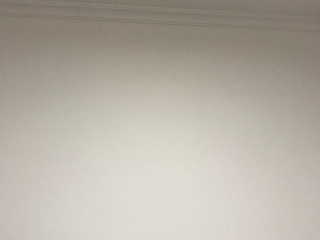 墙、顶面乳胶漆