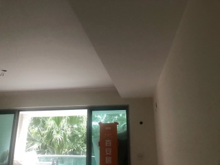 墙、顶面乳胶漆