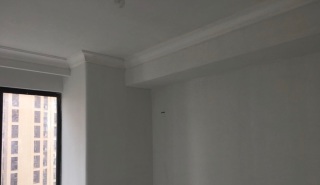 墙、顶面腻子批嵌
