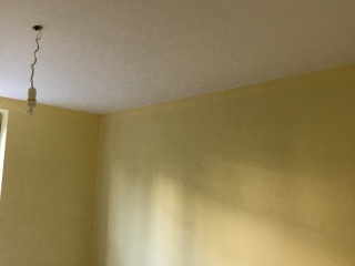 墙、顶面乳胶漆
