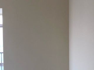 墙、顶面乳胶漆