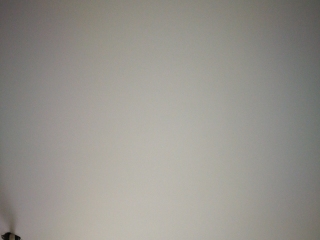 墙、顶面乳胶漆
