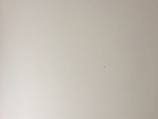 墙、顶面腻子批嵌