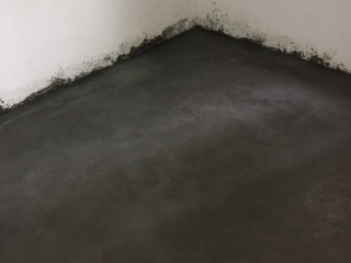日常巡检