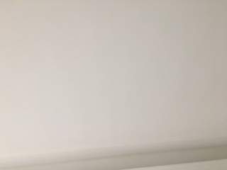 墙、顶面腻子批嵌