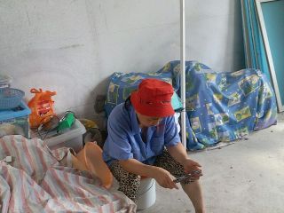 日常巡检