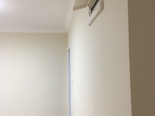 日常巡检