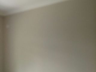 墙、顶面乳胶漆